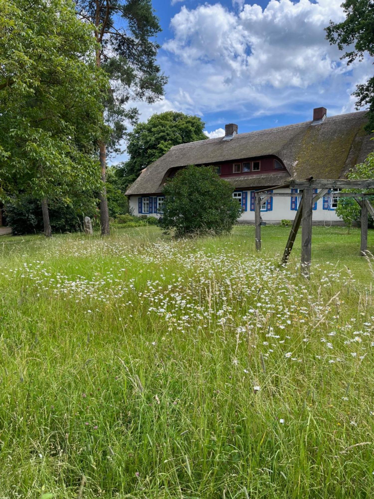 Pfarrhaus Tollensesee